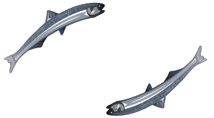 Logo La Selva Pesca